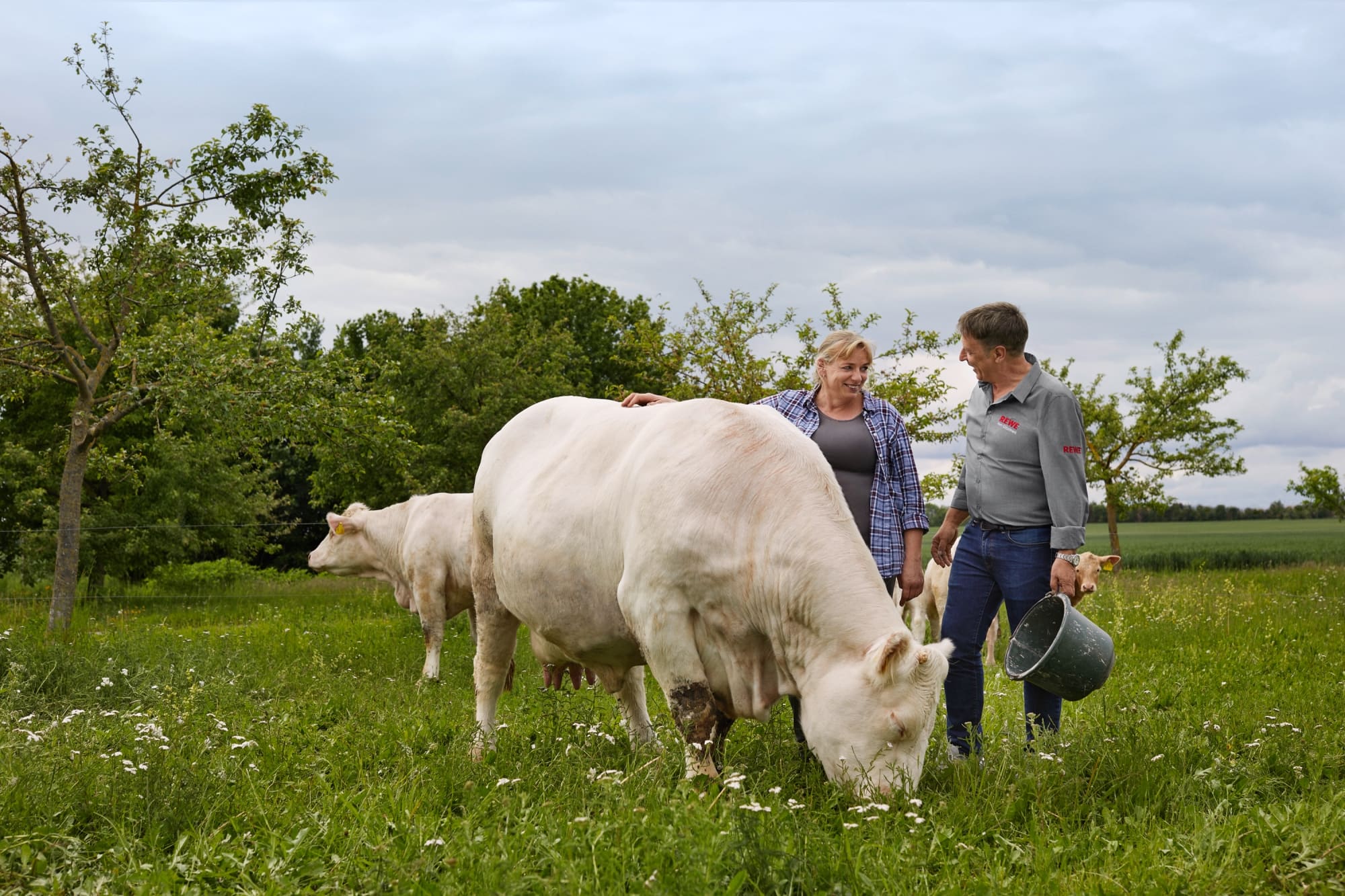 REWE-Lokalpartnerschaft3 REWE-Lokalpartnerschaft3