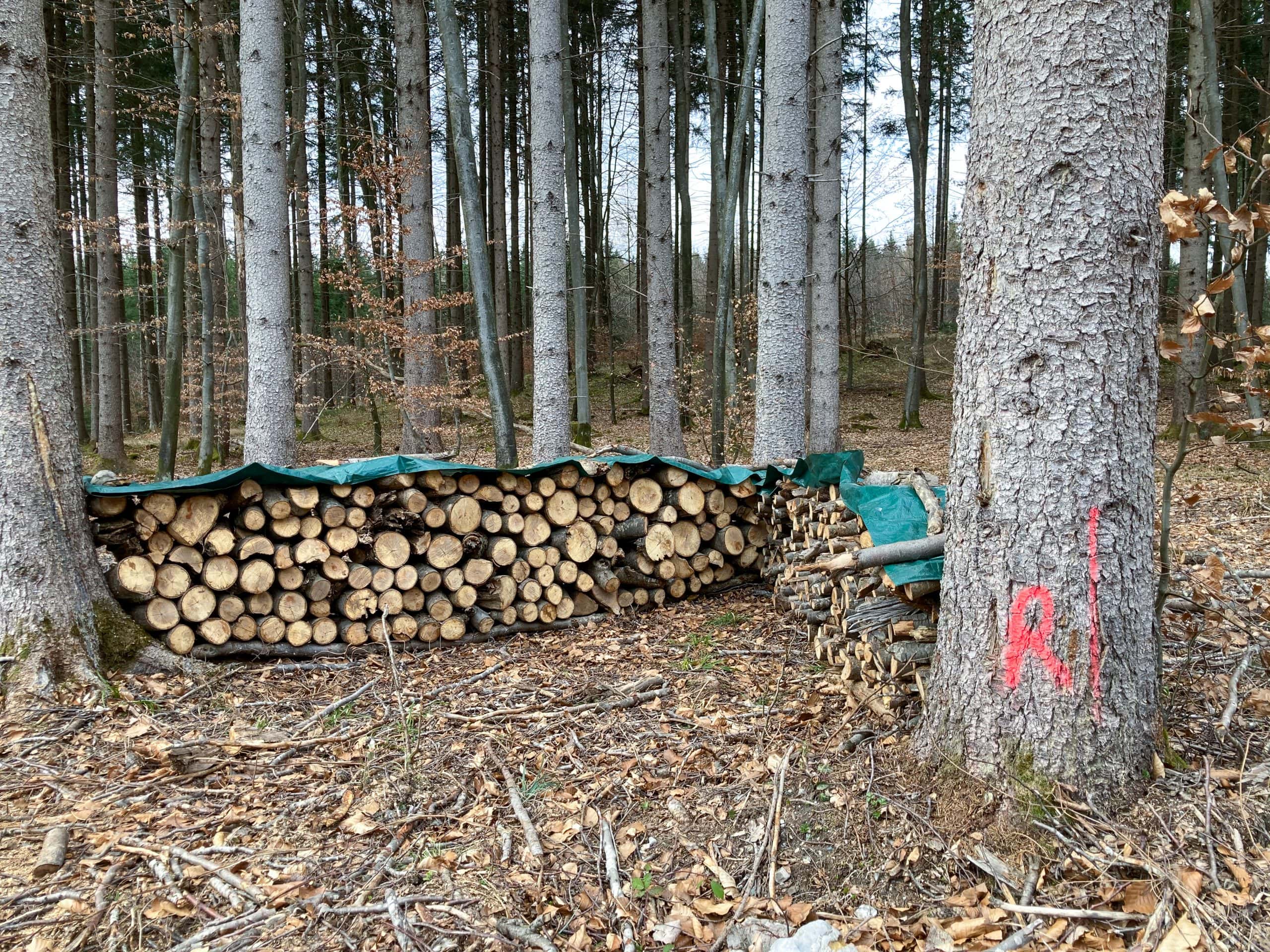 Ostern-2021-9509